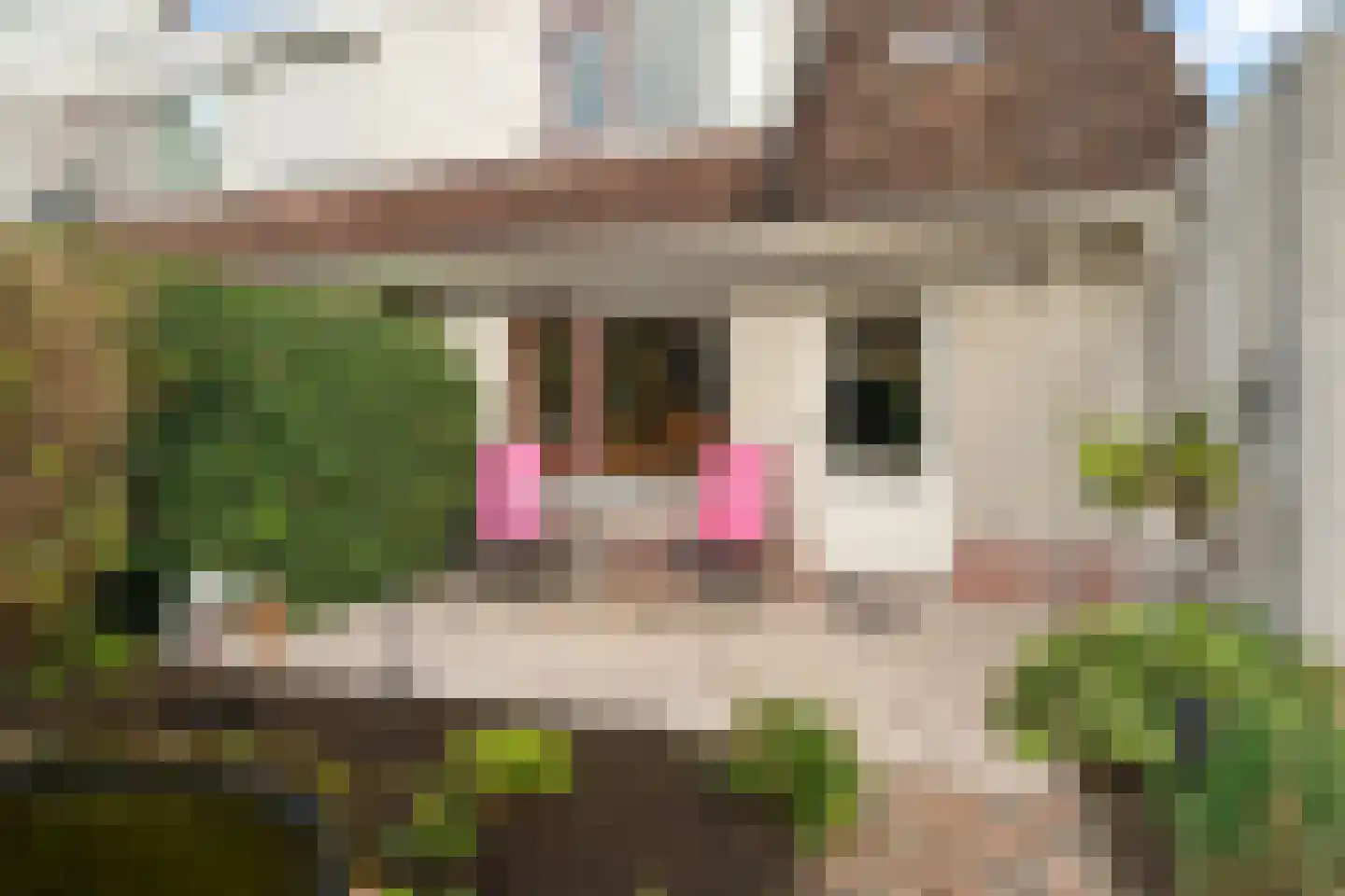 Gerstehof 23 Biddinghuizen thumbnail 47