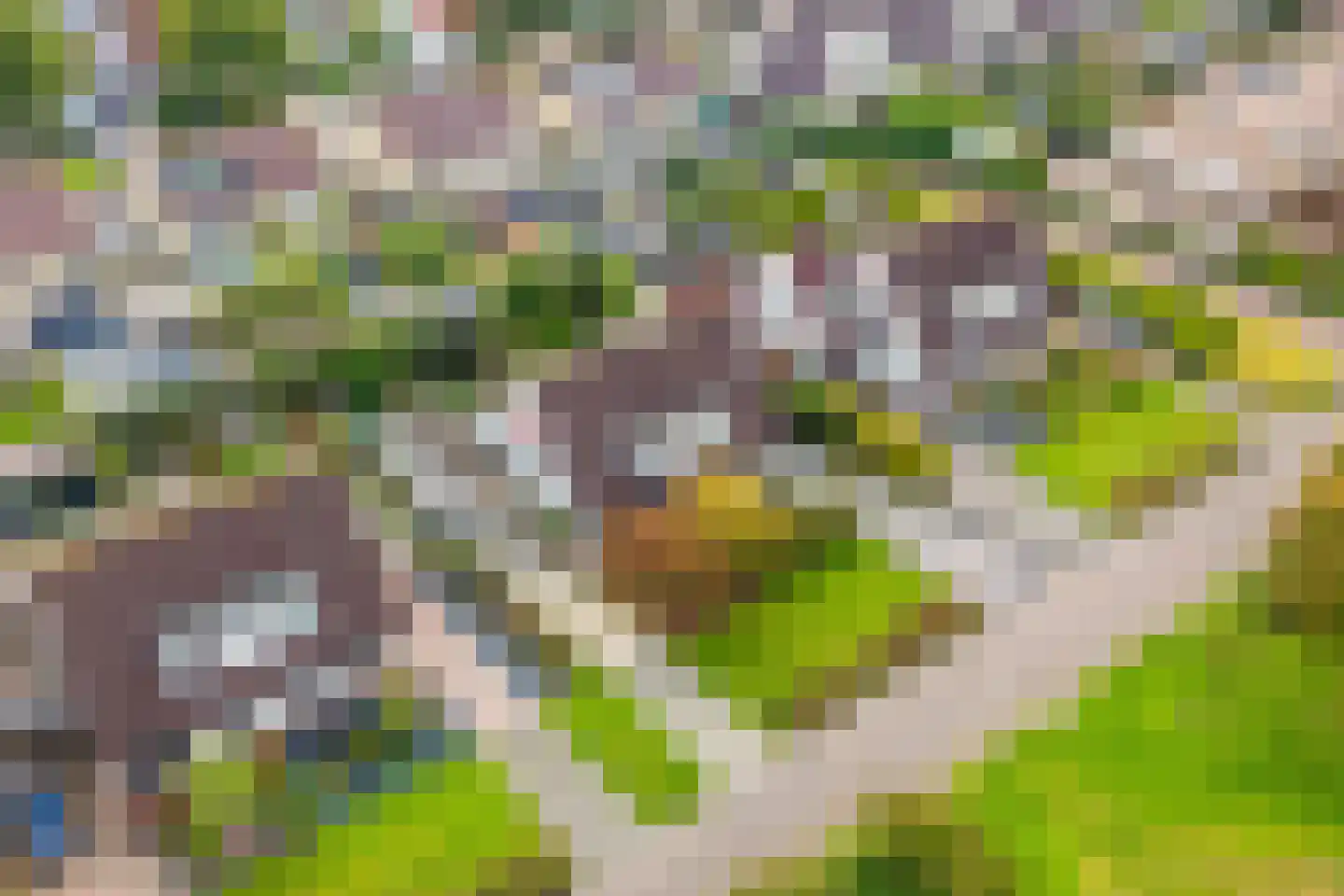 Gerstehof 23 Biddinghuizen thumbnail 54