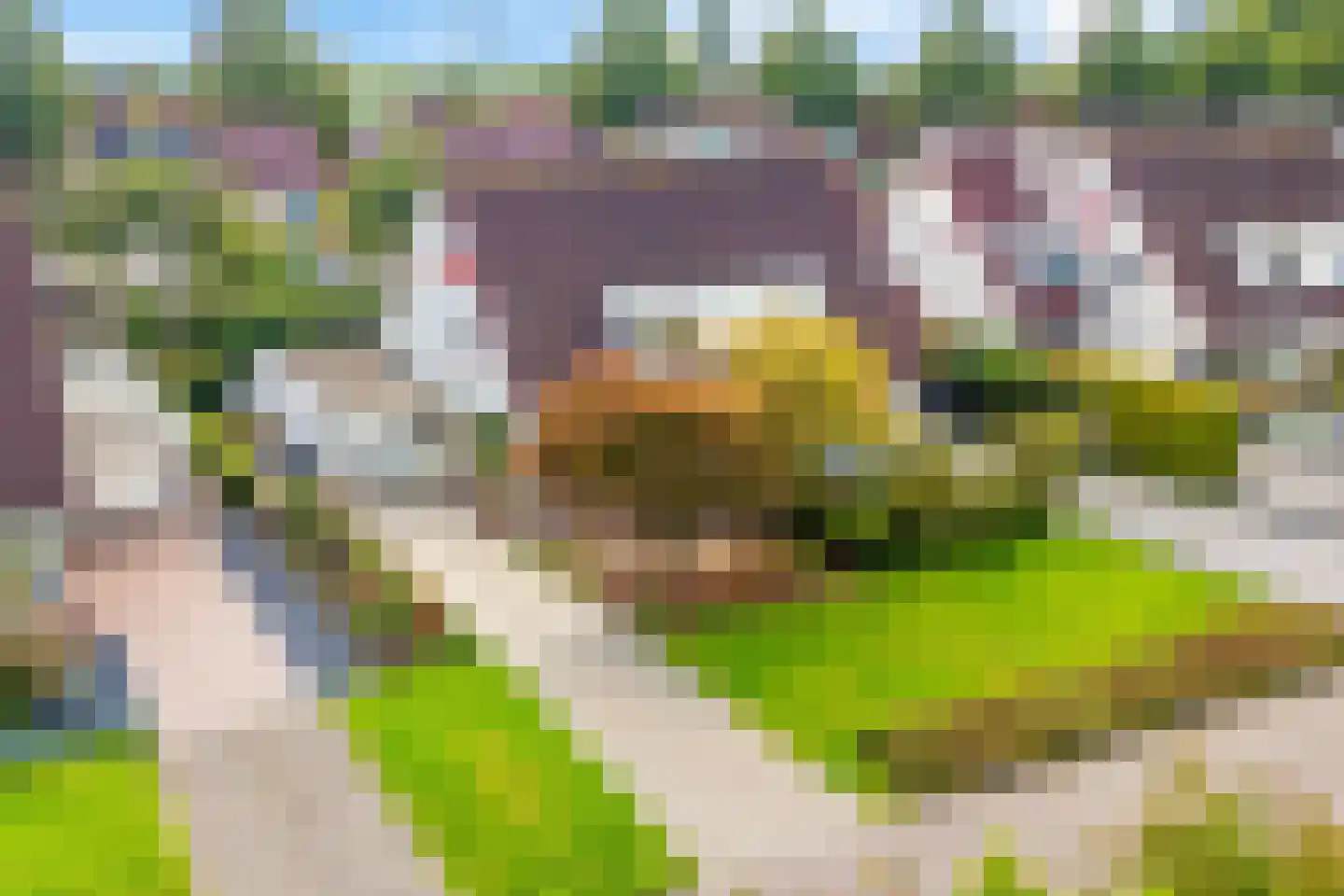 Gerstehof 23 Biddinghuizen thumbnail 55