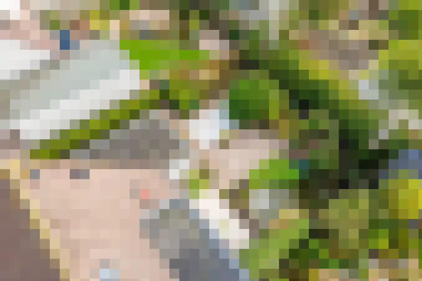 Gerstehof 23 Biddinghuizen thumbnail 58