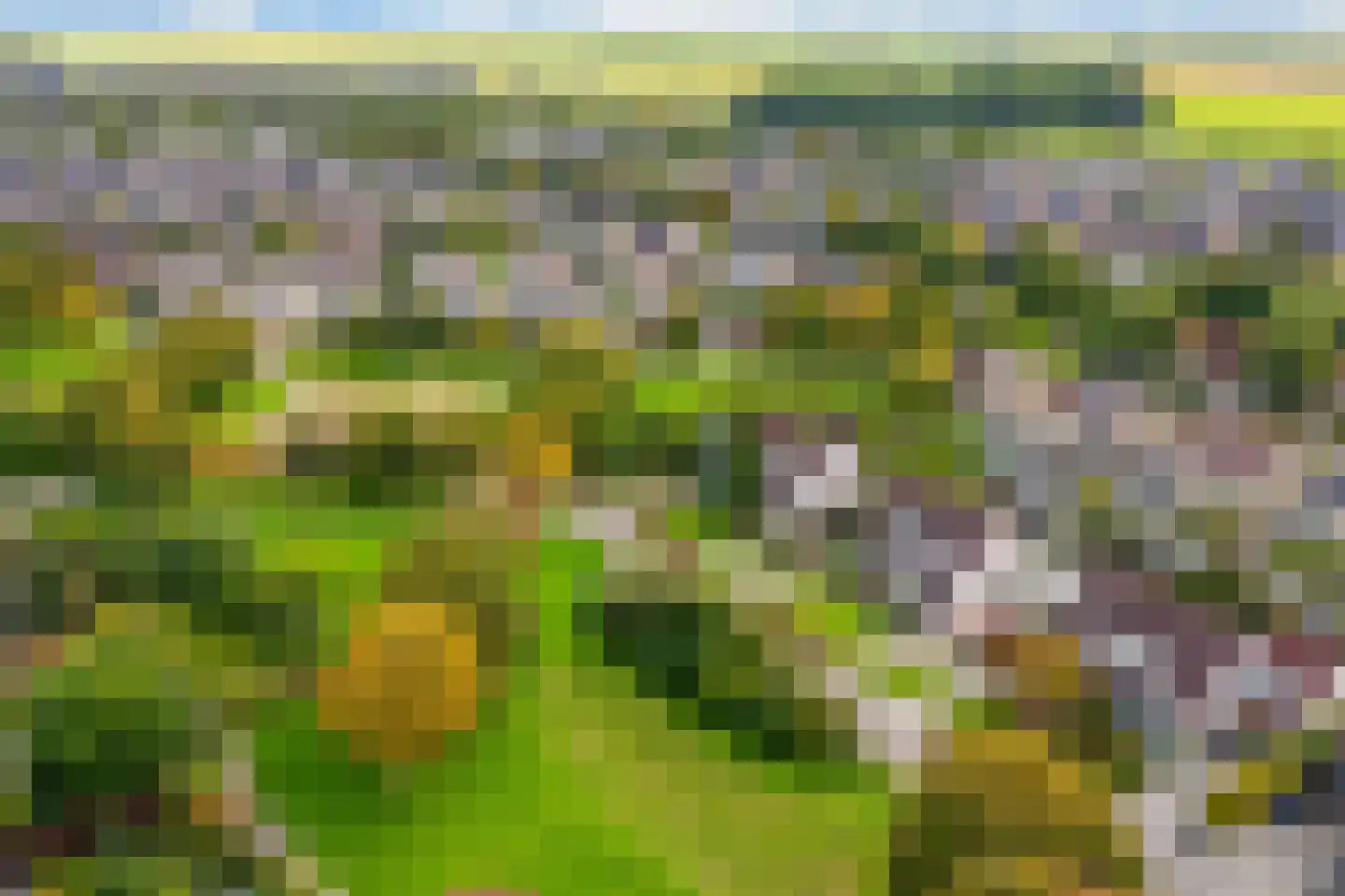 Gerstehof 23 Biddinghuizen thumbnail 60