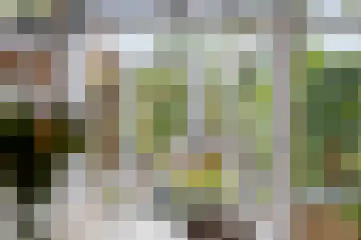 Gerstekamp 19 Warnsveld thumbnail 16