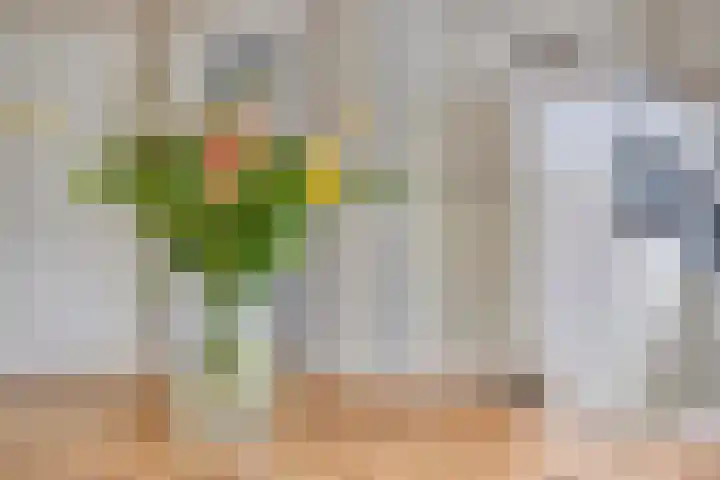 Gerstekamp 19 Warnsveld thumbnail 17