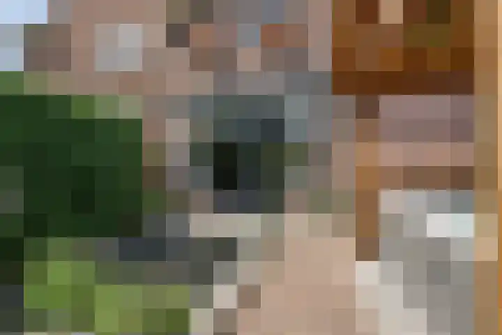 Gerstekamp 19 Warnsveld thumbnail 38