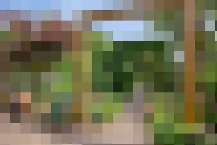 Gerstekamp 19 Warnsveld thumbnail 46