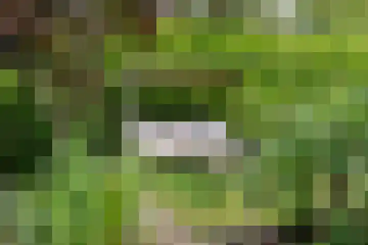 Gerstekamp 19 Warnsveld thumbnail 48