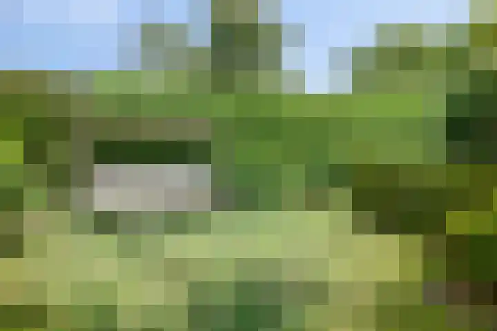 Gerstekamp 19 Warnsveld thumbnail 49