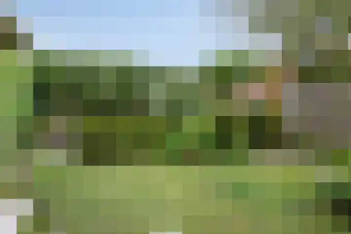 Gerstekamp 19 Warnsveld thumbnail 50