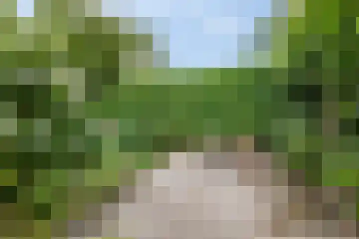 Gerstekamp 19 Warnsveld thumbnail 51
