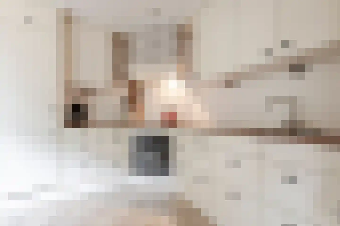 Gersteland 14 Barneveld thumbnail 22