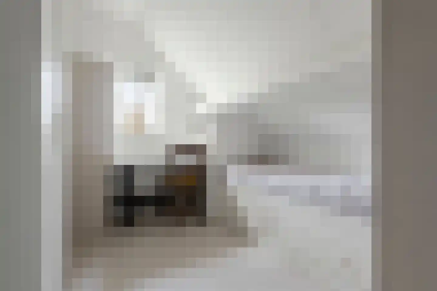 Gersteland 14 Barneveld thumbnail 39