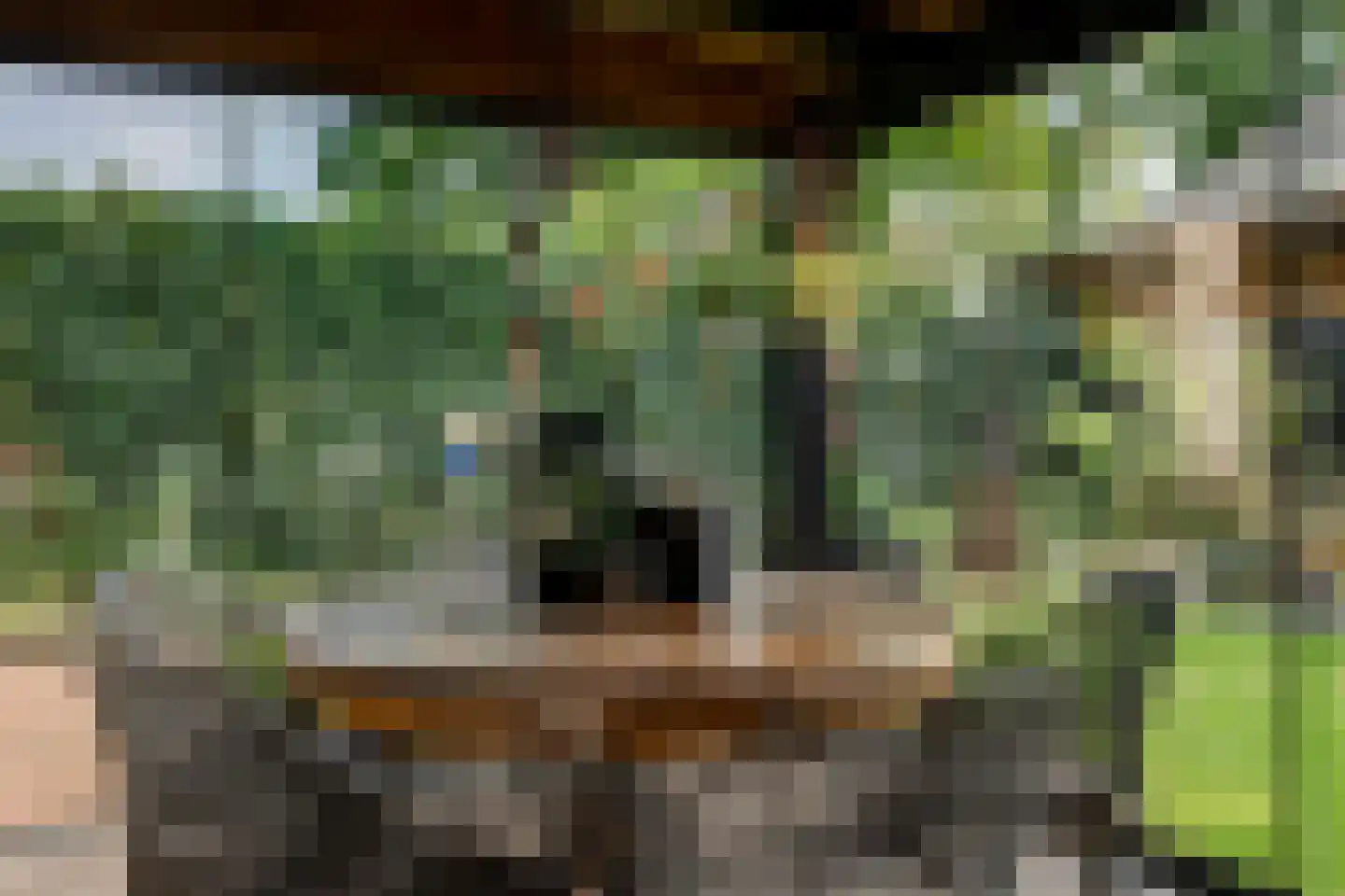 Gersteland 14 Barneveld thumbnail 48