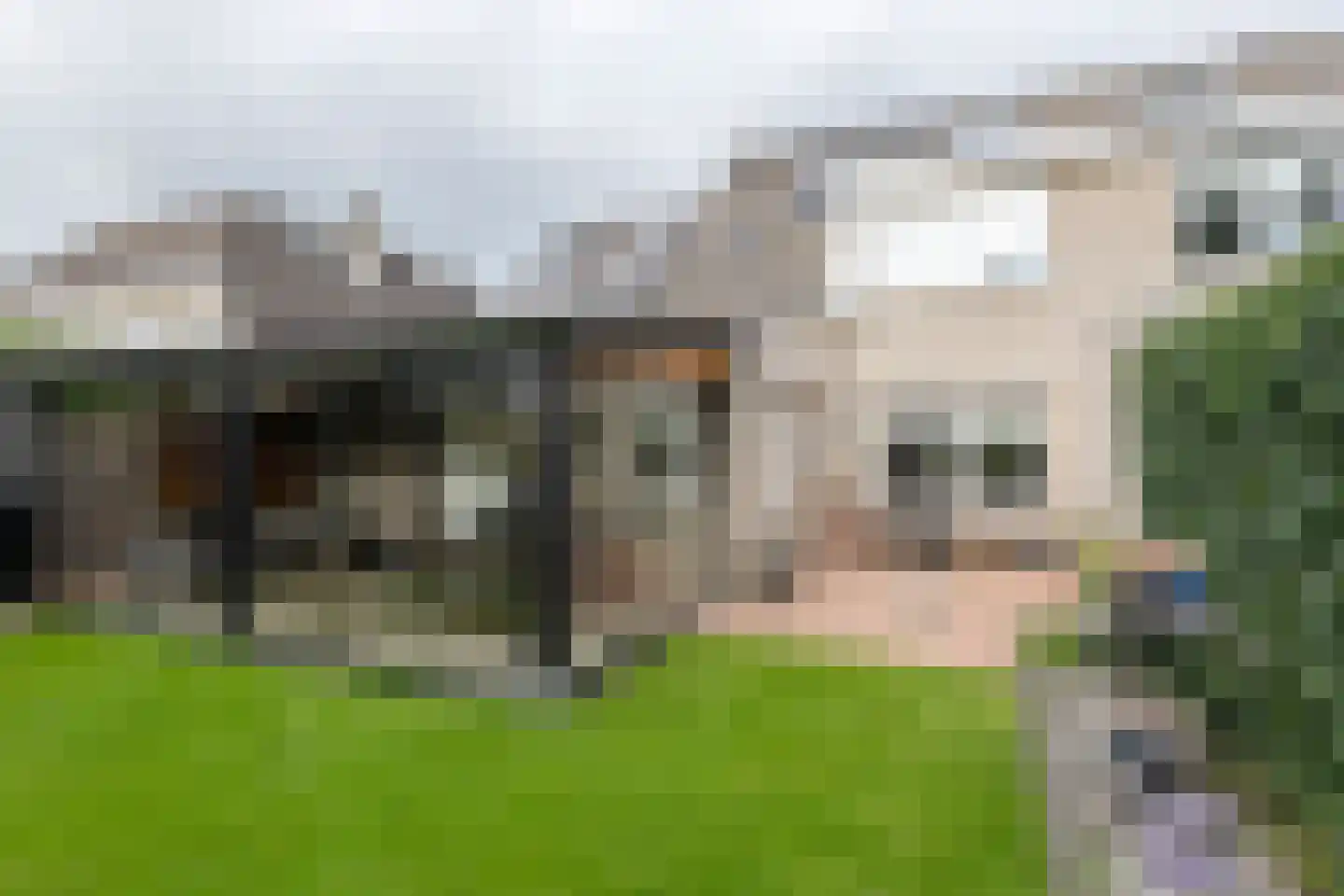 Gersteland 14 Barneveld thumbnail 50