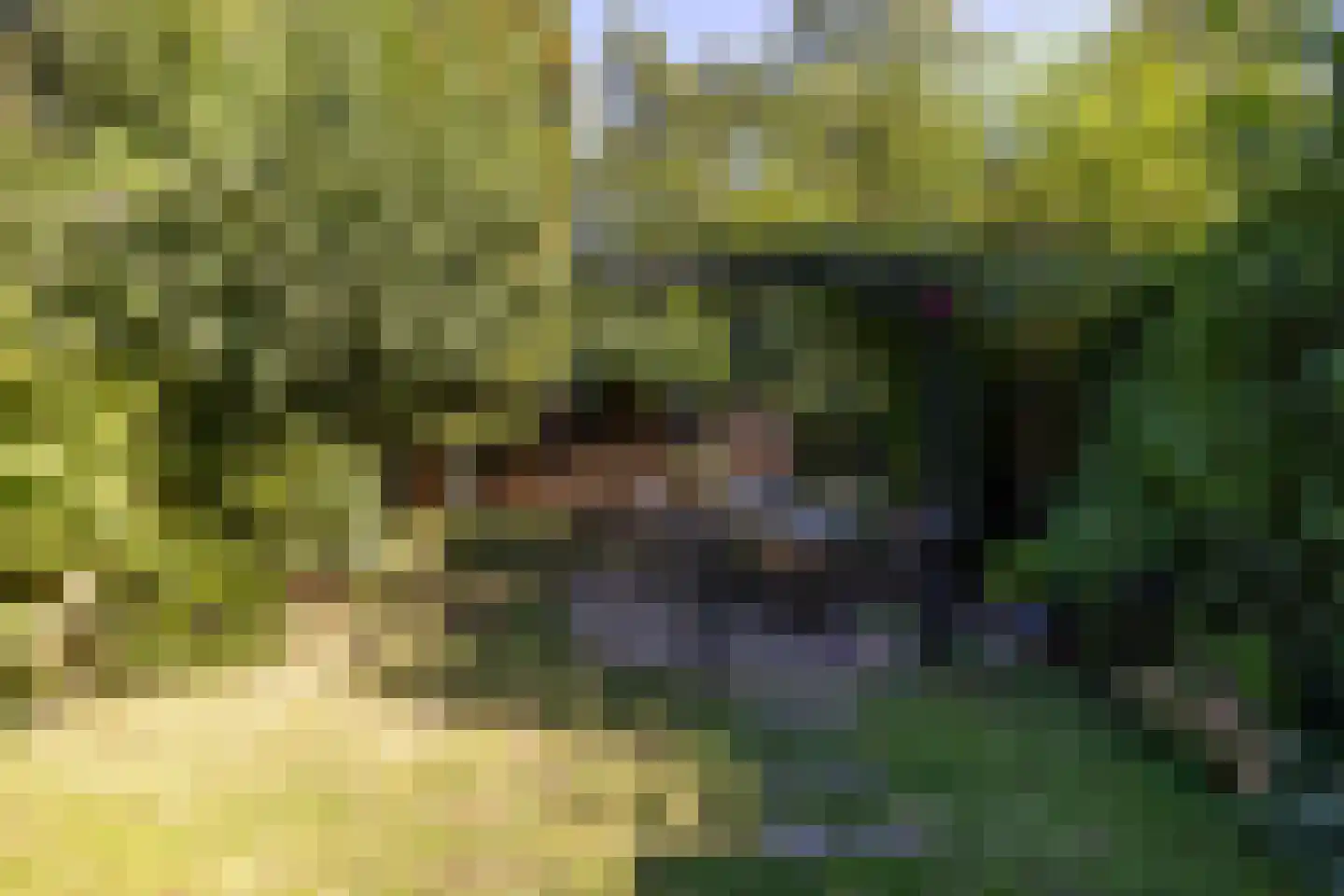 Gersteland 15 Leusden thumbnail 34