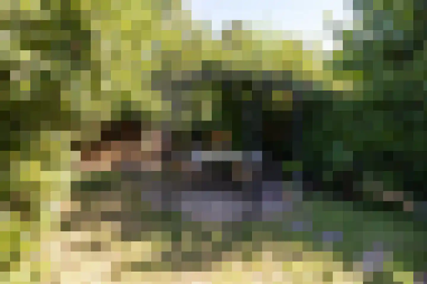Gersteland 15 Leusden thumbnail 35