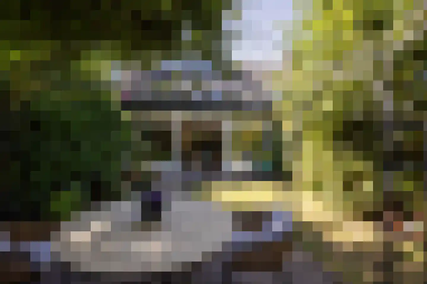 Gersteland 15 Leusden thumbnail 36