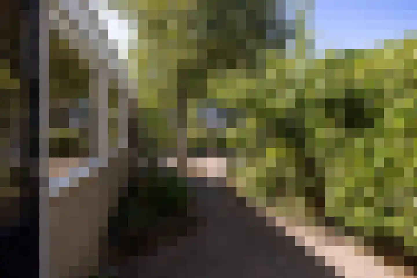 Gersteland 15 Leusden thumbnail 38