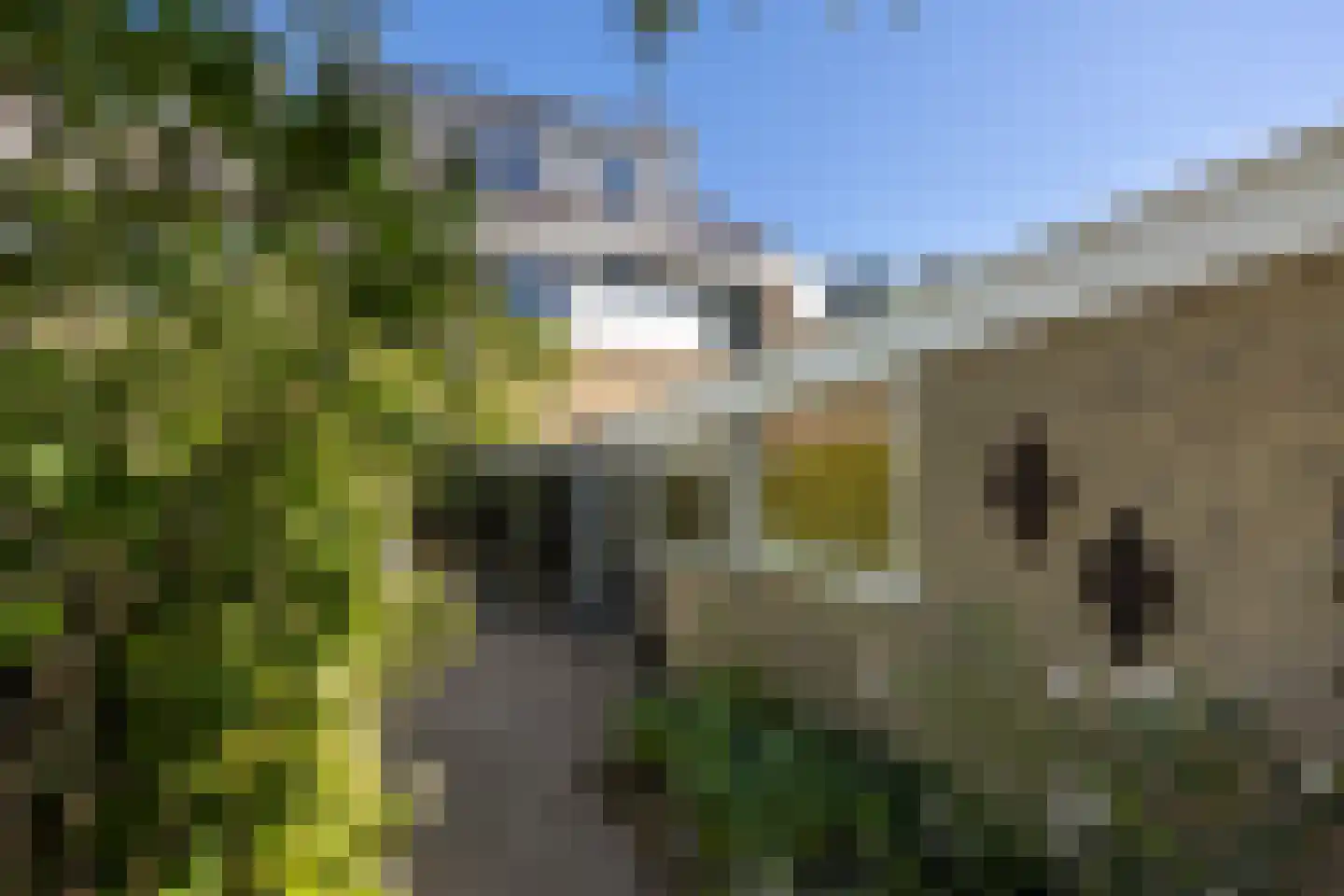 Gersteland 15 Leusden thumbnail 42