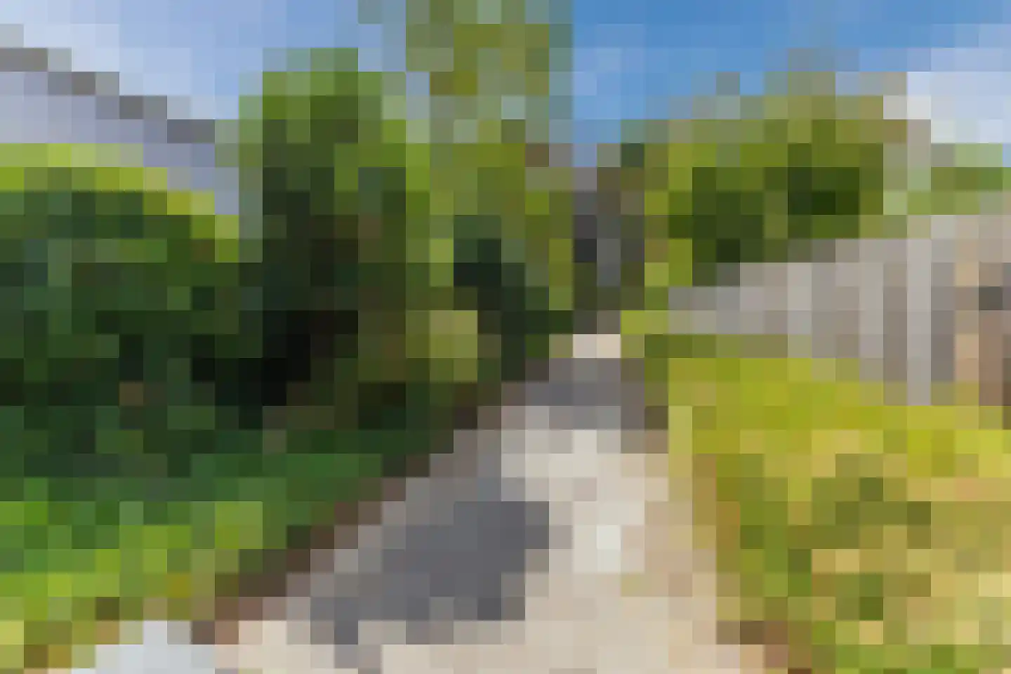 Gersteland 26 Geldrop thumbnail 36