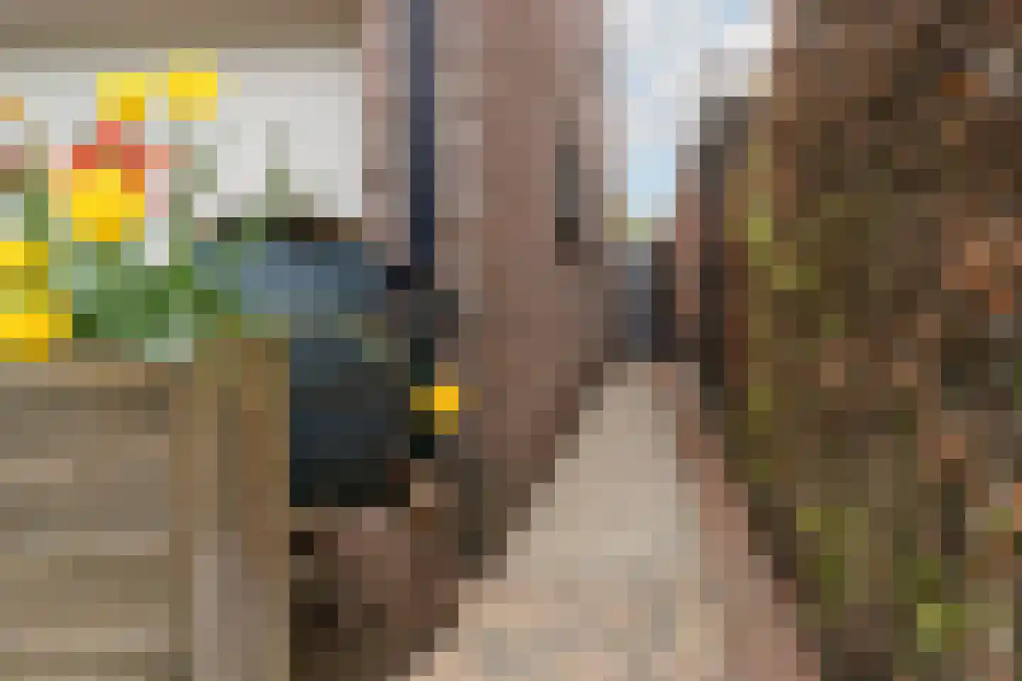 Gersteland 6 Barneveld thumbnail 67