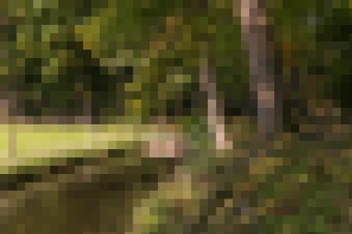 Gersteland 6 Barneveld thumbnail 71