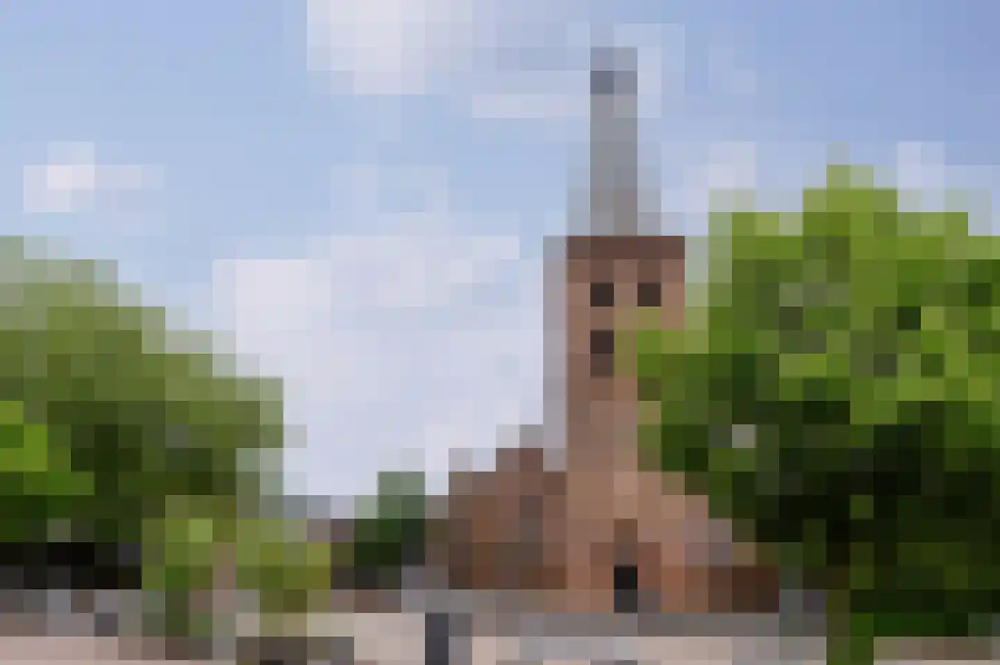 Gersteland 6 Barneveld thumbnail 75