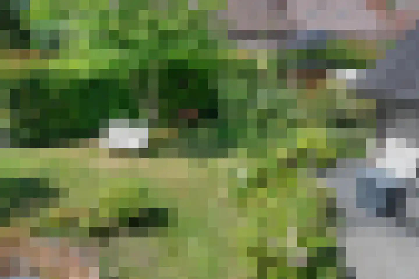 Gerstenkamp 1 Bad Nieuweschans thumbnail 27