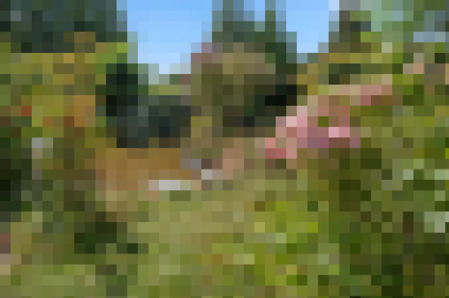 Gerstenkamp 1 Bad Nieuweschans thumbnail 30
