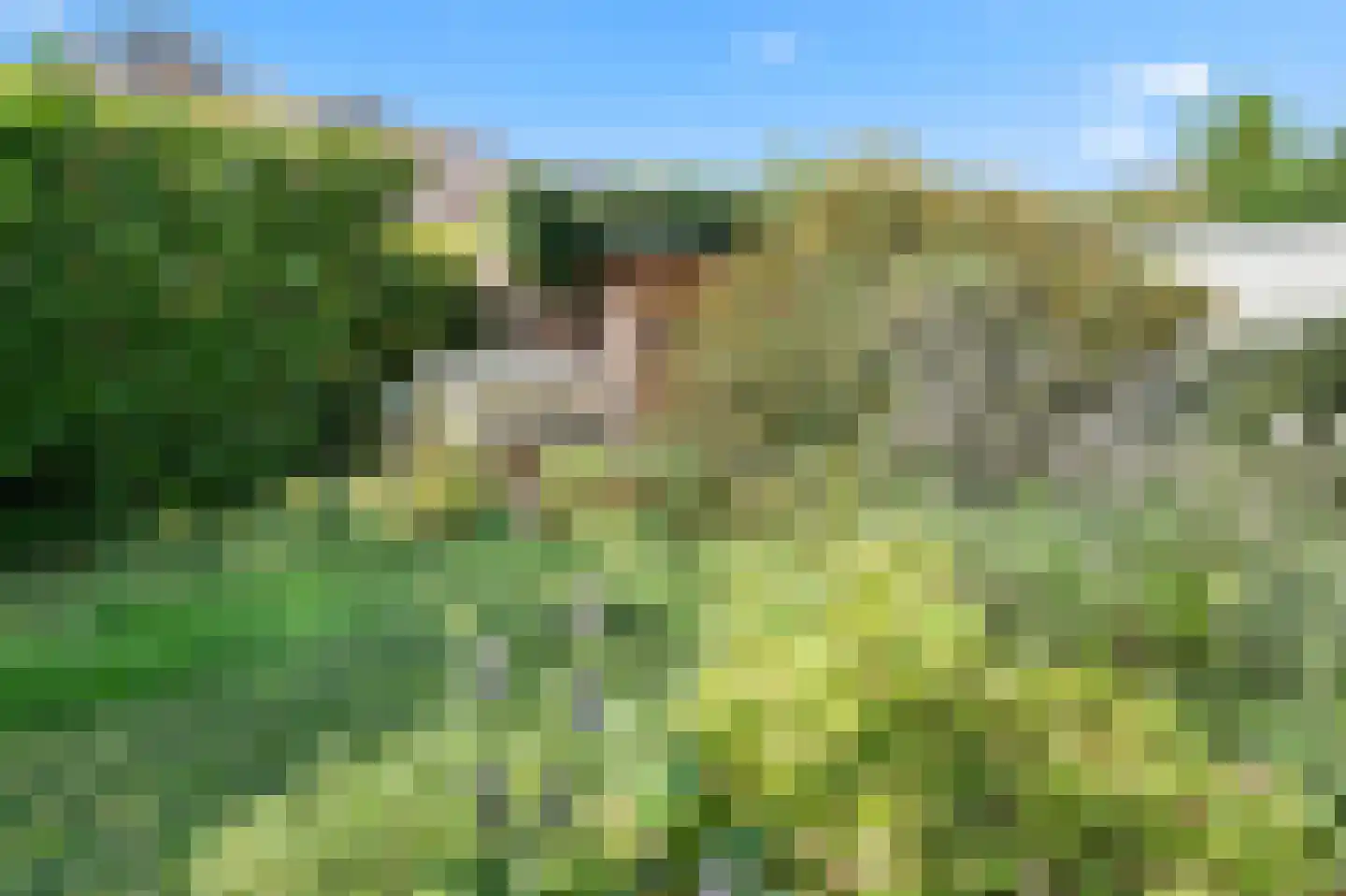 Gerstenkamp 1 Bad Nieuweschans thumbnail 31