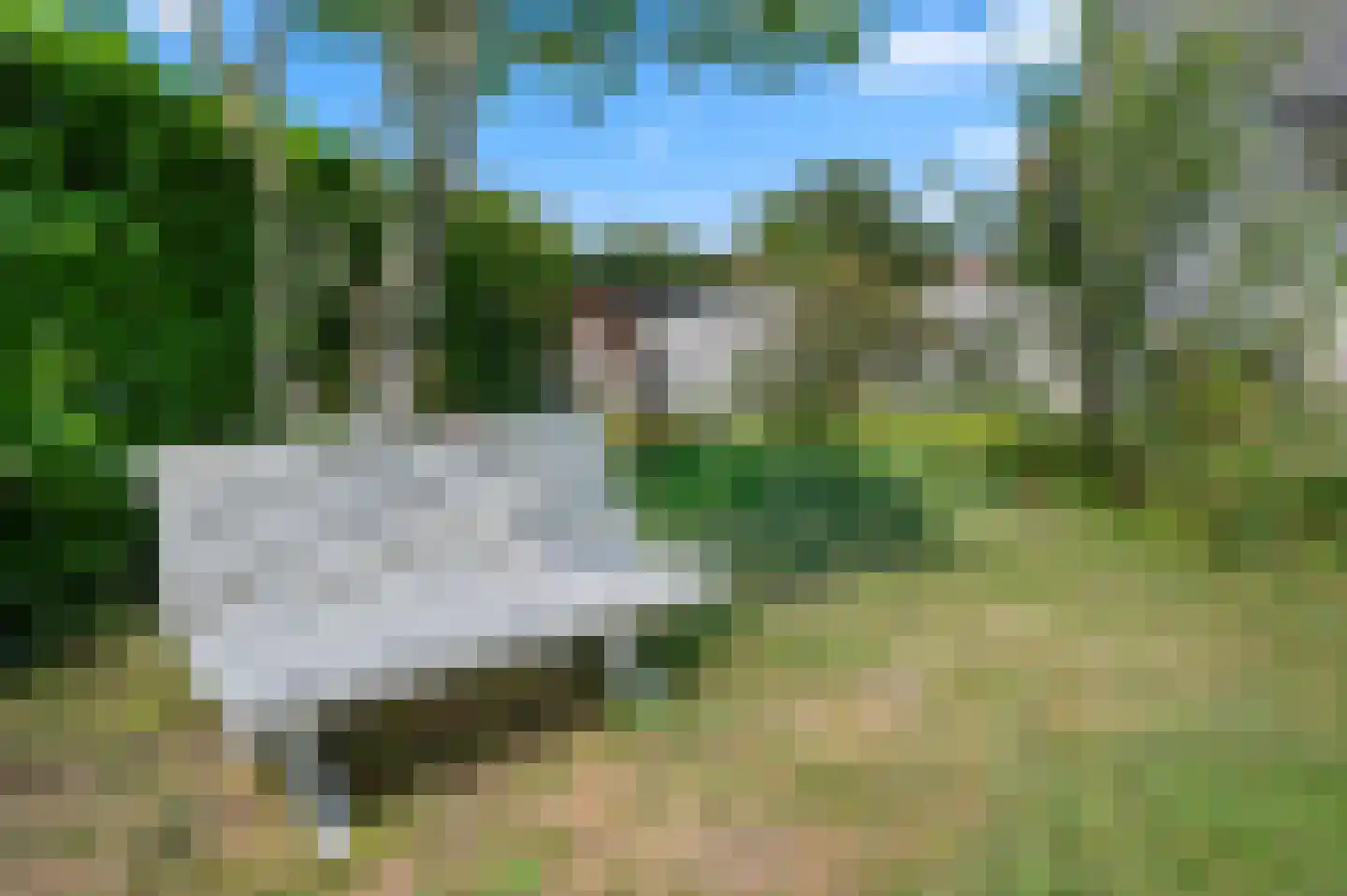 Gerstenkamp 1 Bad Nieuweschans thumbnail 32