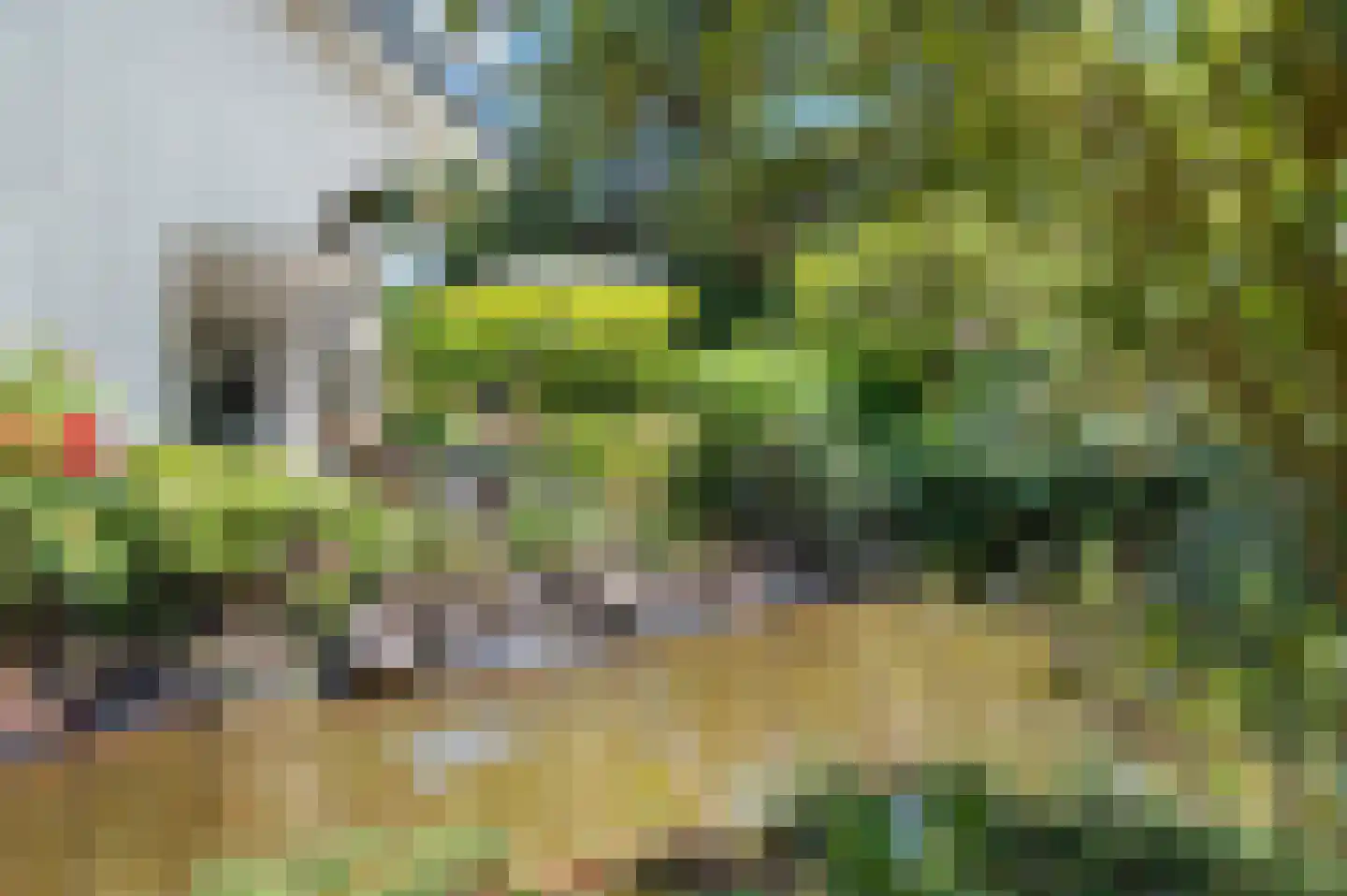 Gerstenkamp 1 Bad Nieuweschans thumbnail 33