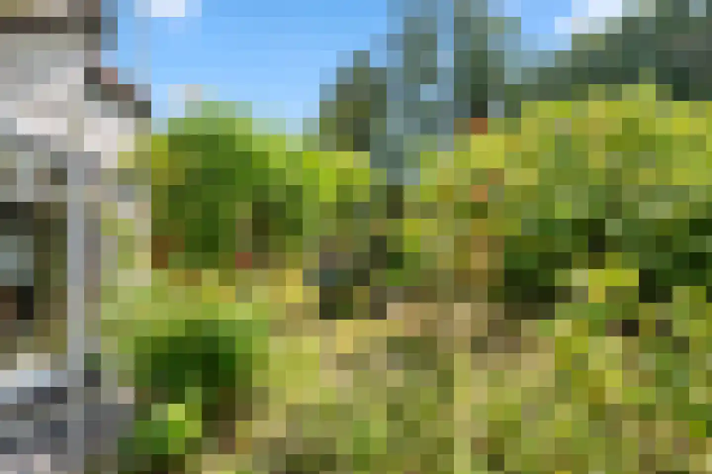 Gerstenkamp 1 Bad Nieuweschans thumbnail 35