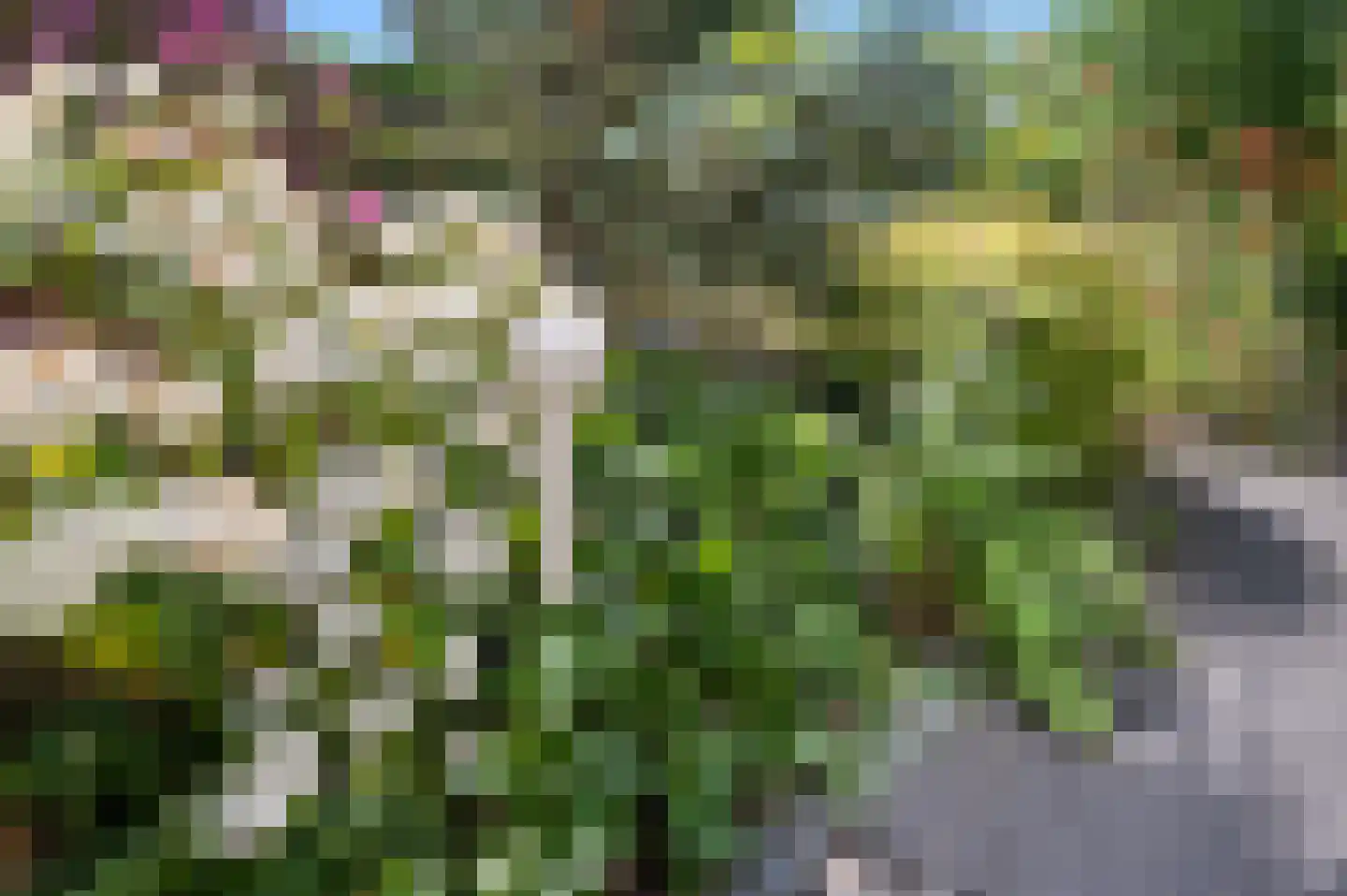 Gerstenkamp 1 Bad Nieuweschans thumbnail 36