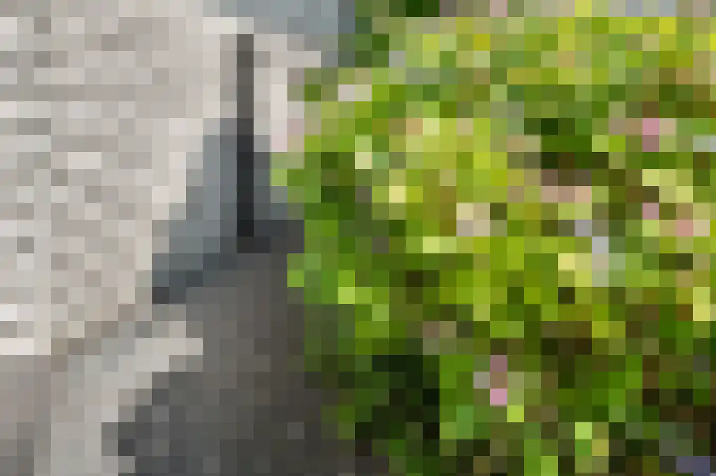 Gerstenkamp 1 Bad Nieuweschans thumbnail 37