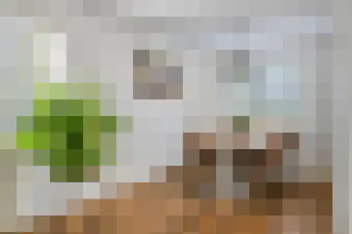 Gerstestraat 2 Bruinisse thumbnail 10