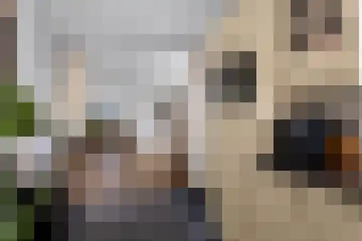 Gerstestraat 2 Bruinisse thumbnail 12