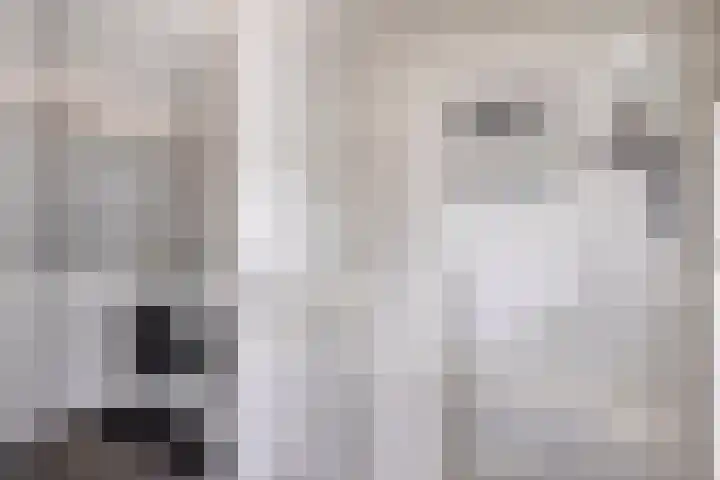 Gerstestraat 2 Bruinisse thumbnail 19