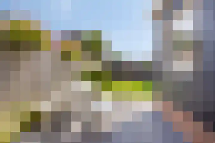 Gerstestraat 2 Bruinisse thumbnail 22