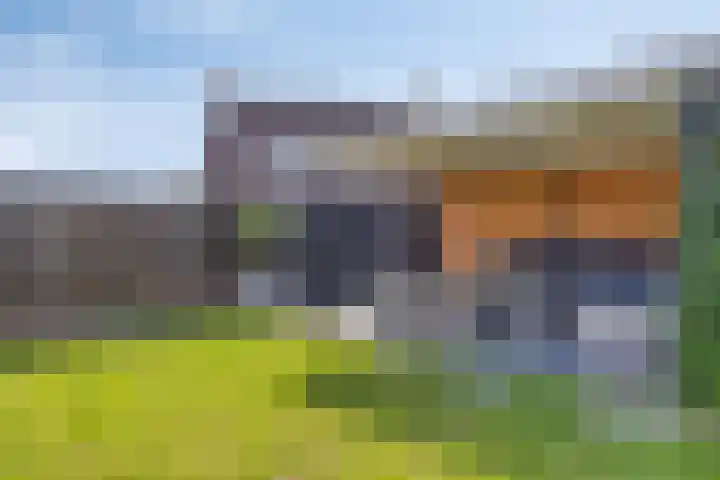 Gerstestraat 2 Bruinisse thumbnail 24