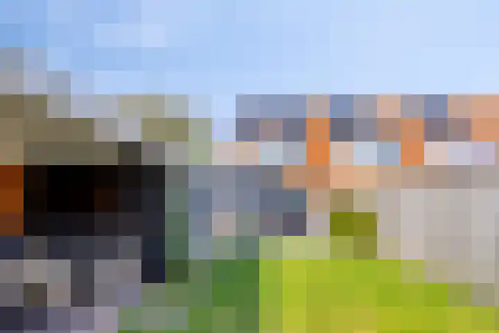 Gerstestraat 2 Bruinisse thumbnail 25
