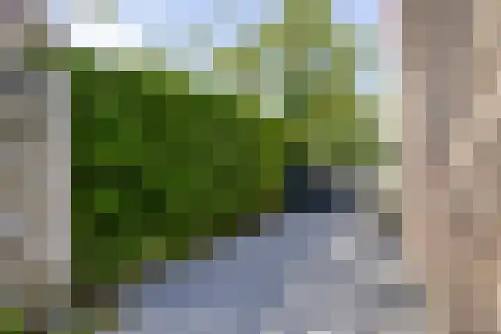 Gerstestraat 2 Bruinisse thumbnail 27