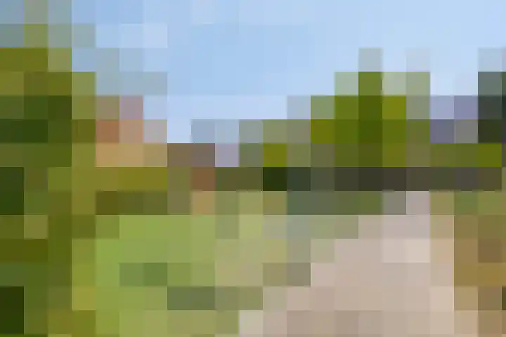 Gerstestraat 2 Bruinisse thumbnail 29