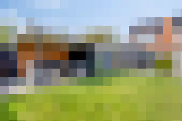 Gerstestraat 2 Bruinisse thumbnail 4