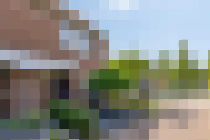 Gerstestraat 2 Bruinisse thumbnail 6