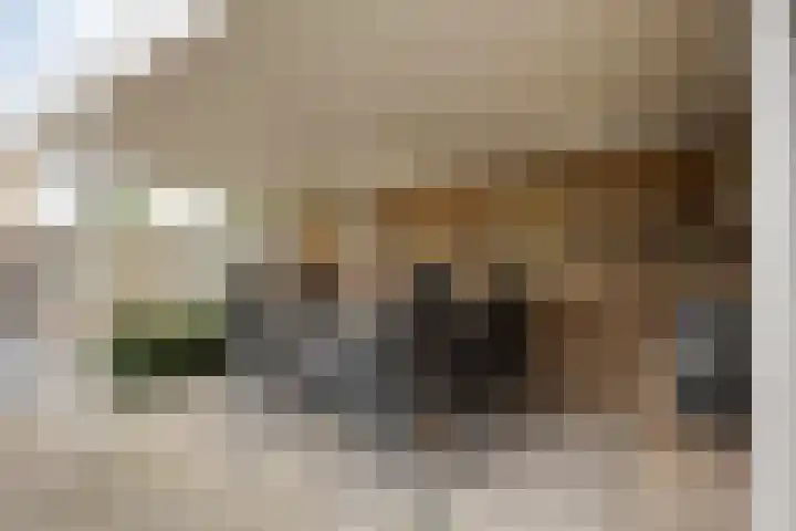 Gersteveld 3 Heeswijk-Dinther thumbnail 36