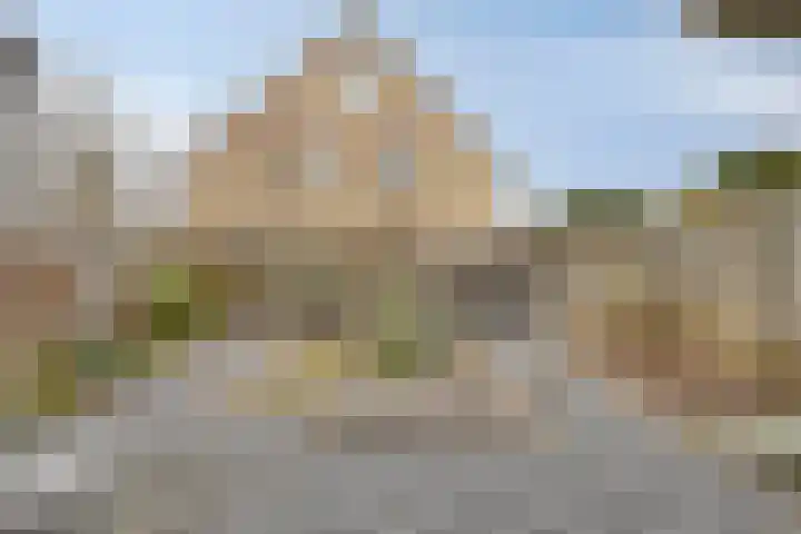 Gersteveld 3 Heeswijk-Dinther thumbnail 5
