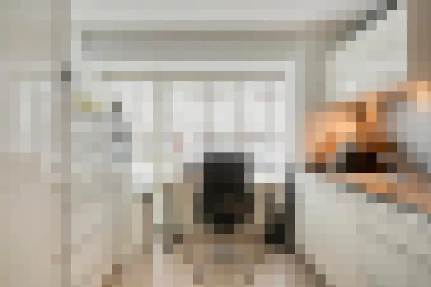 Gersthegge 6 Maastricht thumbnail 12