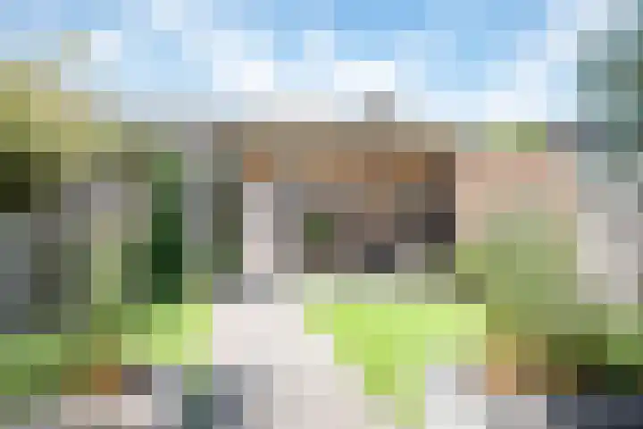 Gersthof 14 Staphorst thumbnail 25