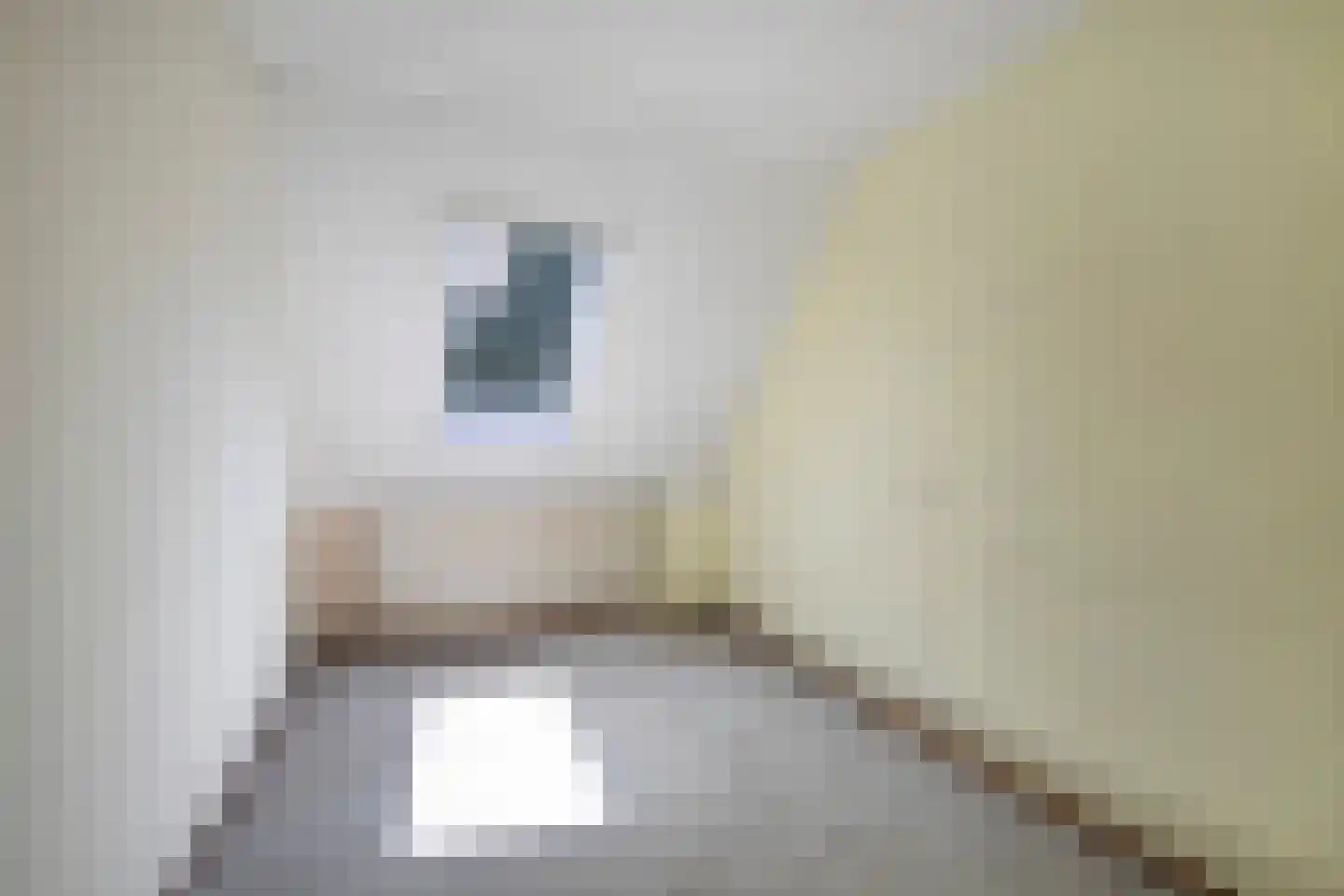 Gersthove 28 Diemen thumbnail 25