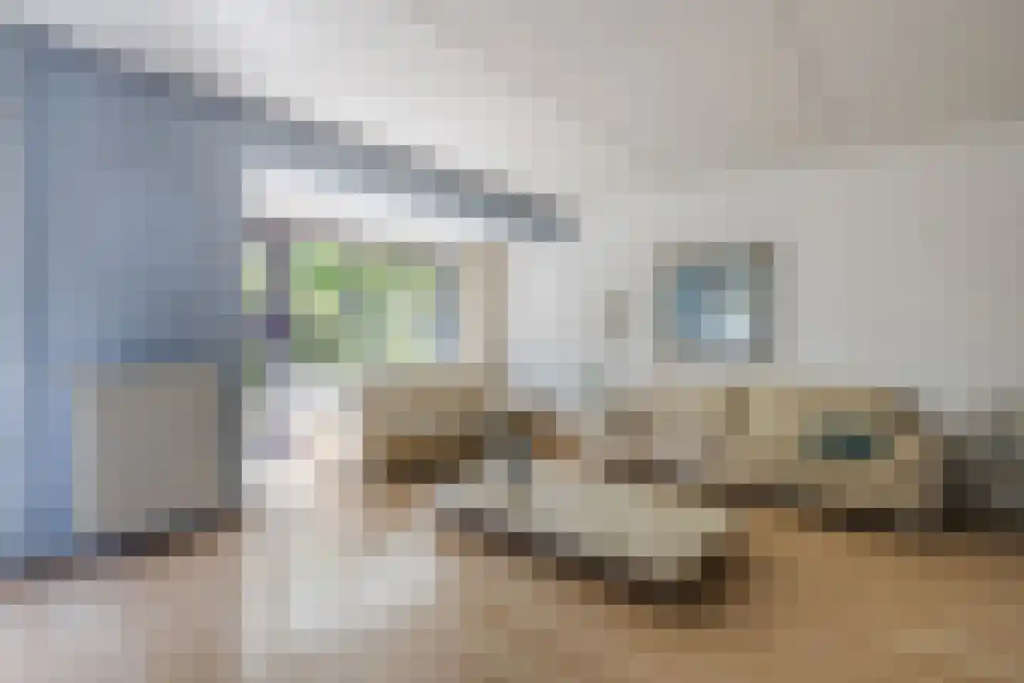 Gersthullen 29 Assen thumbnail 11